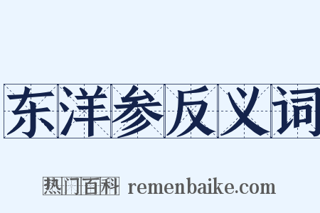 东洋参反义词是什么意思的图片